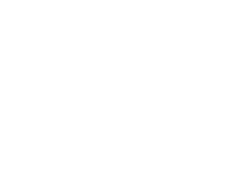 Skinboutique Footer Logo